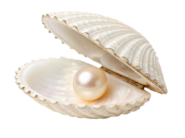 Luminous Pearl Inside Gleaming Seashell, Ocean Treasure png
