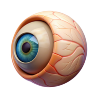 3D Rendered Eye with Wrinkles png