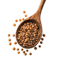 Brown lentils in a wooden spoon surrounded by scattered seeds on a transparent background, Brown Lentils in wooden spoon on transparent background png