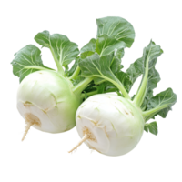 Fresh kohlrabi with vibrant green leaves showcases a crisp vegetable on a clean transparent background, Fresh kohlrabi with green leaves on transparent background png