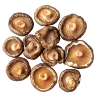 Dried shiitake mushrooms arranged beautifully on a transparent background for culinary inspiration and recipes, dried shiitake mushrooms on transparent background png
