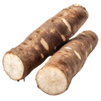 Fresh cassava roots isolated on a transparent background highlighting their texture and natural appearance for culinary uses and health benefits, Cassava isolated on transparent background png