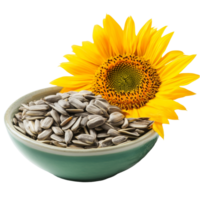 A bowl filled with sunflower seeds beside a vibrant sunflower on a transparent background, Sunflower seeds in a bowl on a flower on a transparent background png