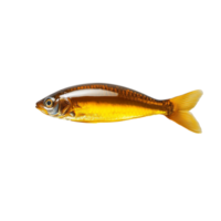 Fish oil displayed on a transparent background highlighting its rich color and texture, fish oil on transparent background png