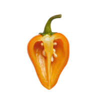Half orange pepper with seeds showcasing vibrant color on a clean transparent background ideal for culinary presentations, half orange pepper on transparent background png