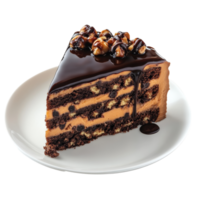 Indulge in a slice of turtle cake drizzled with rich chocolate syrup, perfect for dessert lovers any day, Isolated slice of turtle cake with chocolate syrup png