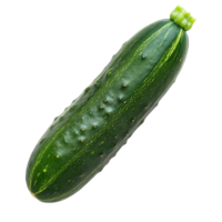 Fresh cucumber isolated on a transparent background showcasing vibrant green color and smooth texture suitable for culinary use, sliced cucumber isolated on transparent background png