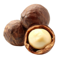 Delicious macadamia nuts isolated on a clean transparent background showcasing their rich texture and color, macadamia isolated on transparent background png