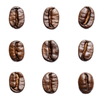 Isolated coffee beans arranged in a grid on a transparent background showcasing their rich texture and unique shapes, coffee beans isolated on transparent png