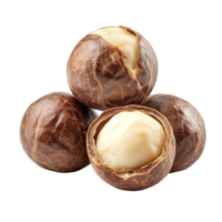 Macadamia nuts in their shells arranged on a transparent background showcasing natural textures and colors, Peeled macadamia nut isolated on transparent background png