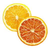 Fresh orange and lemon slices isolated on a transparent background showcasing their vibrant colors and textures, Orange and lemon slice isolated on transparent background png