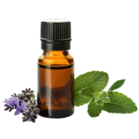 Essential oil bottle with lavender and mint leaves isolated on a bright transparent background, Bottle of essential oil isolated on transparent background png