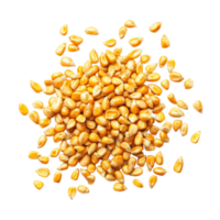 Isolated cornseeds scattered on a clean transparent background showcasing their vibrant yellow color and natural texture for agricultural use, Cornseeds isolated on transparent background png