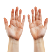 Hands raised in a friendly greeting gesture during a bright day, inviting connection and interaction, Hands, palms gesturing up, saying hi, greeting, hello, bye isolated on transparent png