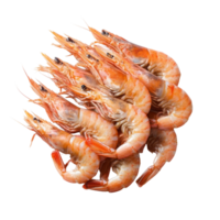 Boiled shrimp arranged on a transparent background showcasing fresh seafood delicacy, Boiled shrimp isolated on transparent background png