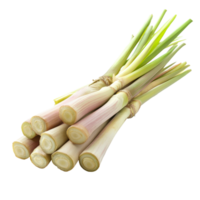 Freshly sliced lemongrass on a transparent background ready for culinary use in various dishes and beverages, fresh slice lemongrass on transparent background png
