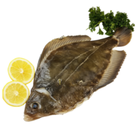 Fresh sole fish garnished with lemon slices and parsley on transparent background ready for preparation, Sole Fish on transparent background png