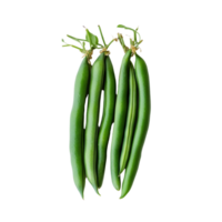 Fresh green beans arranged on a clean transparent background showcasing their vibrant color and natural shape, green beans on transparent background png