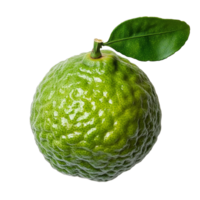 Fresh bergamot fruit on a transparent background showcasing its textured skin and vibrant leaf, bergamot on transparent background png