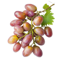 Burmese grapes displayed on a transparent background showcasing their vibrant colors and unique shape, Burmese grape on transparent background png