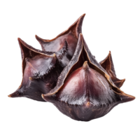 Water caltrop or horn chestnut cluster showcasing unique shape and dark exterior against a plain background, Water caltrop or horn chestnut or water chestnut isolated on transparent background png