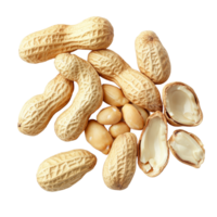 A variety of peeled and unpeeled peanuts are arranged on a clean surface showcasing their natural textures and colors, Group of peeled, unpeeled and opened shell peanuts png