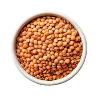 A bowl filled with vibrant lentils on a clean transparent background for culinary inspiration and healthy eating ideas, lentils in a bowl on transparent background png