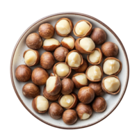 A close up view of fresh macadamia nuts served on a plate against a bright transparent background, macadamia nuts in plate on transparent background png