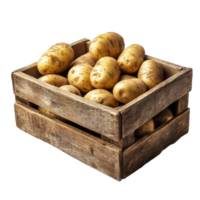 A rustic wooden box filled with fresh potatoes set against a clean transparent background, wooden box of potatoesisolated on transparent background png