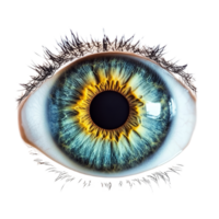 Detailed close up of a human eye with vibrant colors and an isolated pupil on a transparent background, eye pupil isolated transparent background png