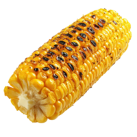 Grilled Corn Cob with Butter on transparent background. png