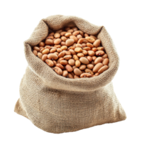 Burlap Sack of Beans on White Background on transparent background. png