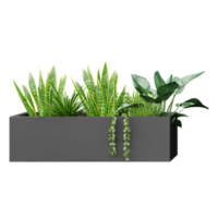 A row of plants in a planter isolated on transparent canvas png