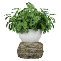 collection of Curry tree in planter with realistic style png