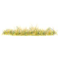 3d rendering of Autumn grass on Transparent Canvas png