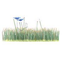 3d rendering of Cattail grass on Transparent Canvas png