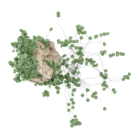 Collection of stone with leaves and grass on transparent camvas from the top view png
