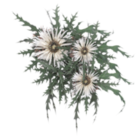 3d illustration of stone with leaves and grass isolated on transparent canvas from top view png