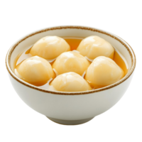 Syrupy and Spongy Rasgulla Delights png