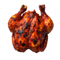 Grilled and Charred Indian Tandoori Chicken png