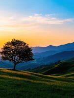 A tree stands in a grassy field with mountains in the background photo