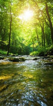 un corriente de agua fluye mediante un bosque, con luz de sol brillante en el agua foto
