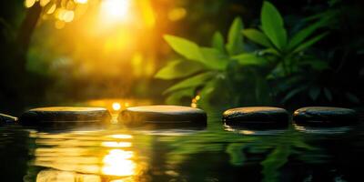 A series of rocks are floating in a pond with the sun shining on them photo