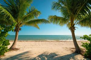 Two palm trees are on a beach with a clear blue sky photo