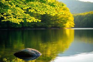 A rock sits in the middle of a lake, surrounded by trees photo
