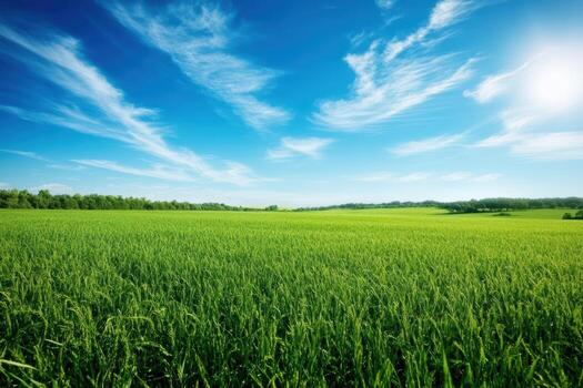 un grande campo de verde césped con un claro azul cielo encima foto
