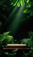 A wooden box is placed in the middle of a lush green jungle photo