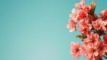 A blue background with pink flowers in the foreground photo