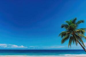A palm tree is standing on a beach with a clear blue sky photo