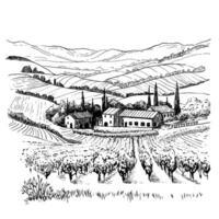 Landscape of rows of vineyards and farm winery in graphic style. Illustration vector